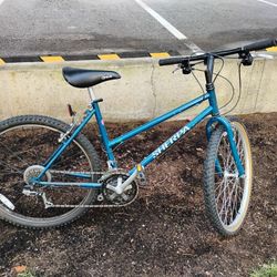 Sherpa Brand Women's Bicycle 