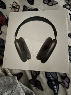 AirPod Pro Max with Case