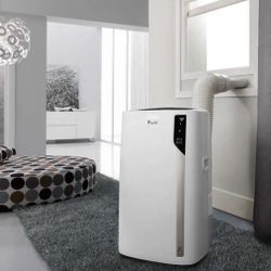 De'Longhi Pinguino 4-in-1: Air Conditioner, Heater, Dehumidifier, and Fan