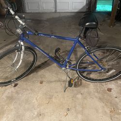 Free Spirit 10 Speed Bike