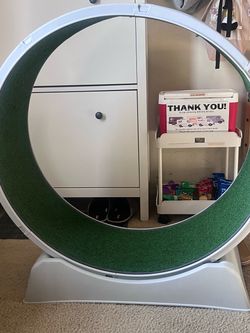 Pet treadmill exercise wheel