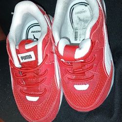 Pumas 