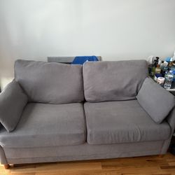 Couch / Pull Out Couch 