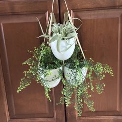 Set Of Three Leather Plant Holders