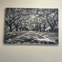 Large Black And White Wall Art Print. 