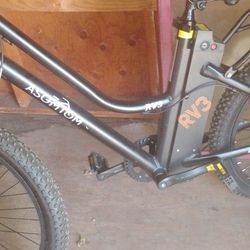 E bike 