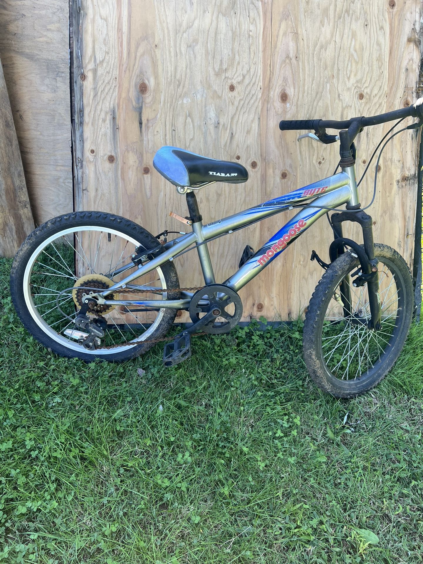Bike Mongoose