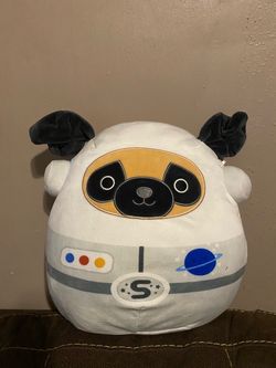 Space Dog