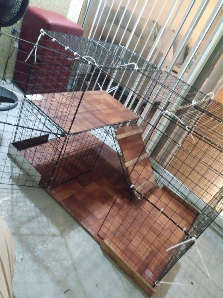 Small animal cage