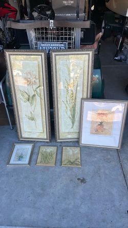 Set of 6 Framed Botanical Prints — Peony, Freesia, Floral Art