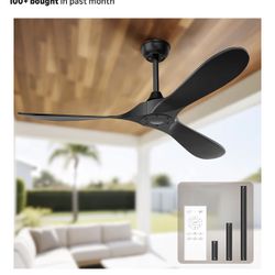 Ceiling Fan And Remote 