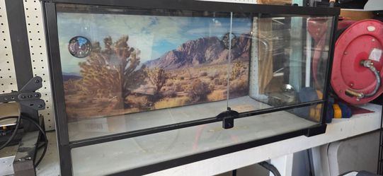 Bearded Dragon Setup & Accessories