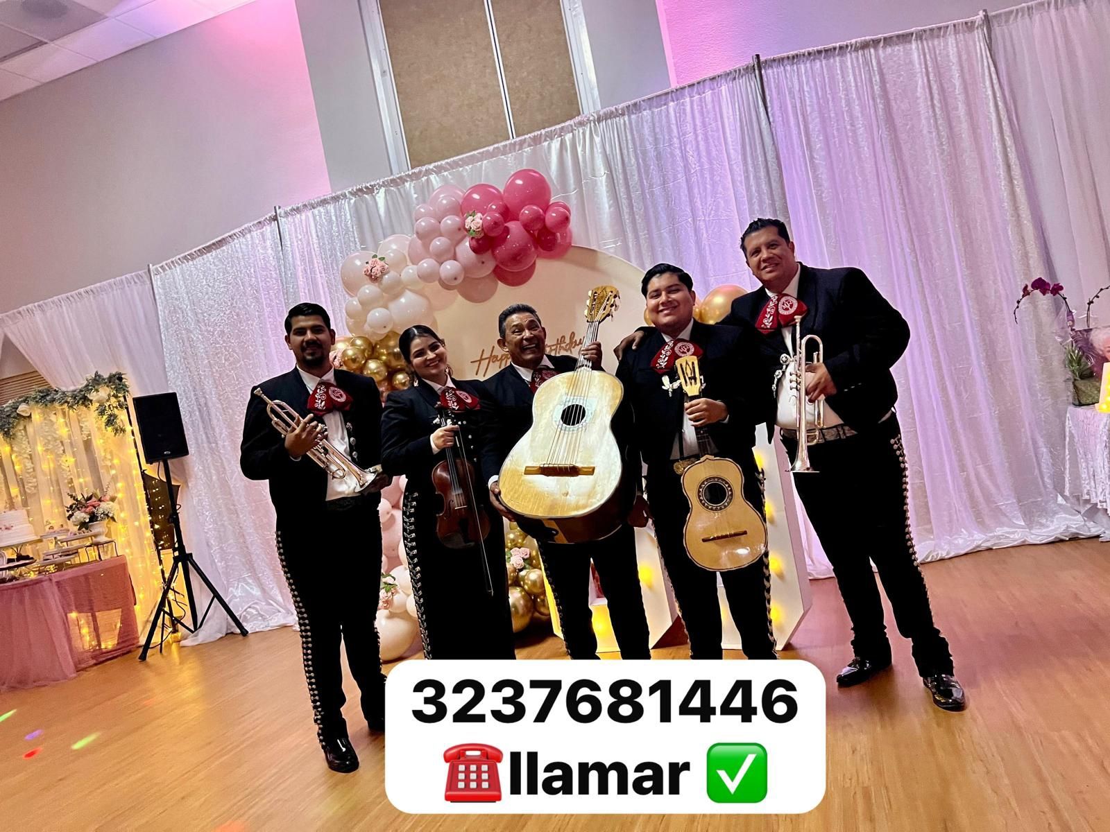 Vihuela Violín Mariachi