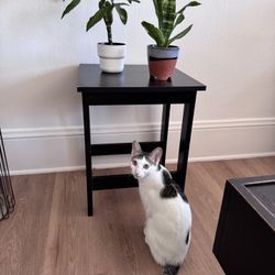 Small Black Wooden Table