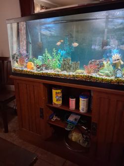Fish Tank And Stand