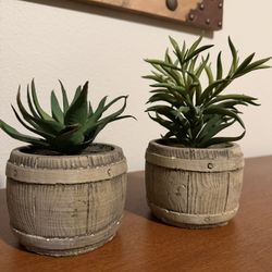 Faux Succulents