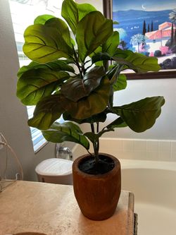 Artificial Fig Plant