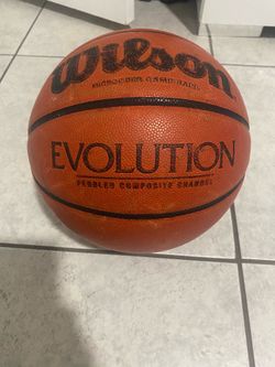 Wilson Evolution Basketball