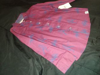 Boys Collared Shirt
