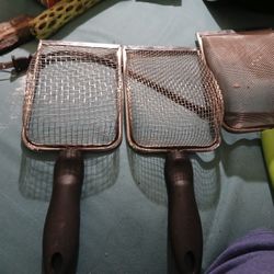 Reptile  Plants Light Vine 