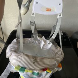 Baby Doorway Swing 