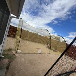 Batting Cage 