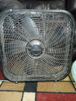 Fan