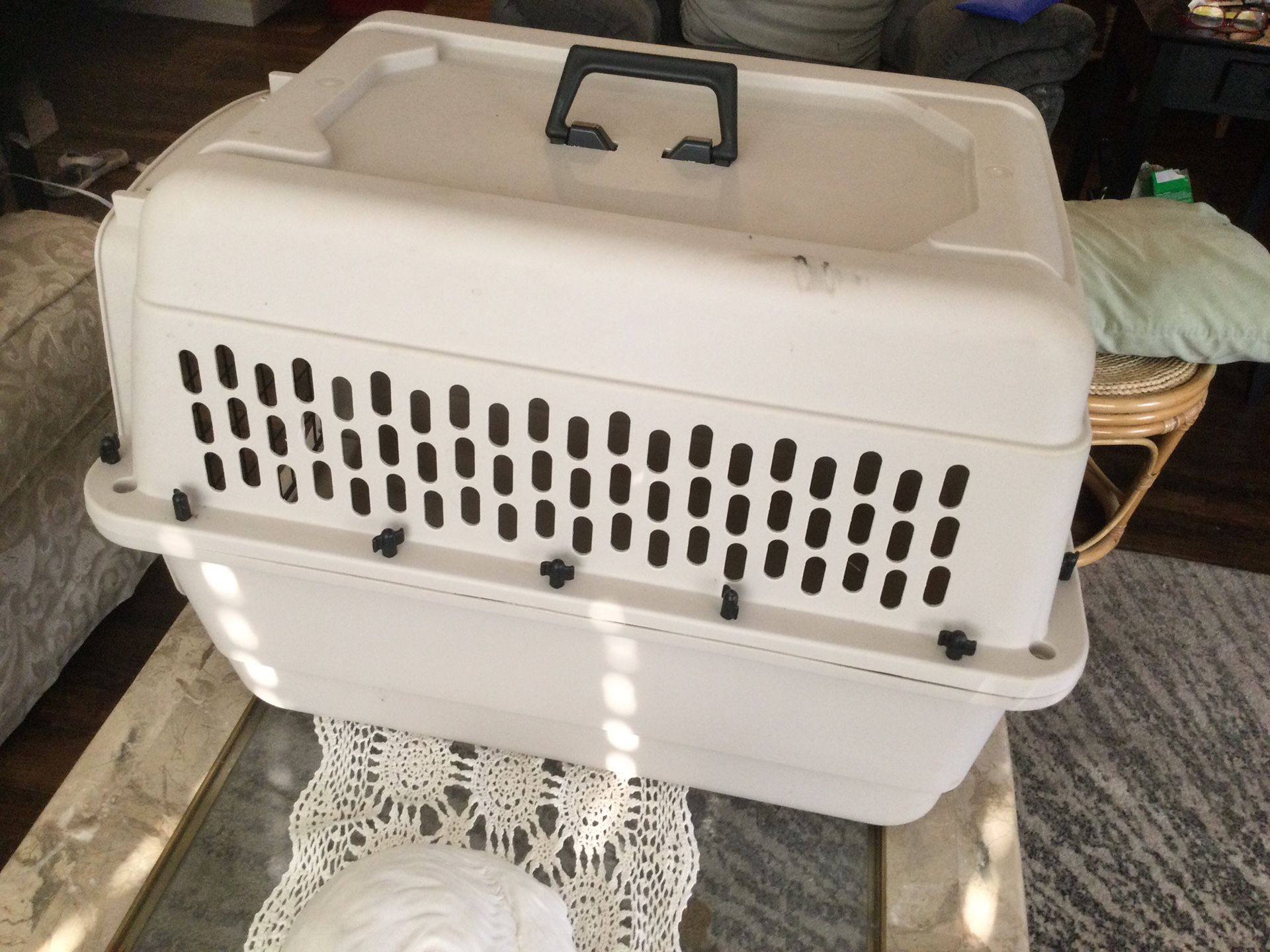 Bargain & Hound 26 x 18 x 18 medium size dog carrier. Very good condition.