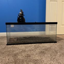 20 Gallon reptile Tank