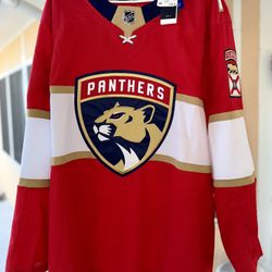 NHL Panther Jersey 2x