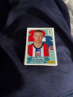 Erling Haaland Panini terminator World Cup 2026