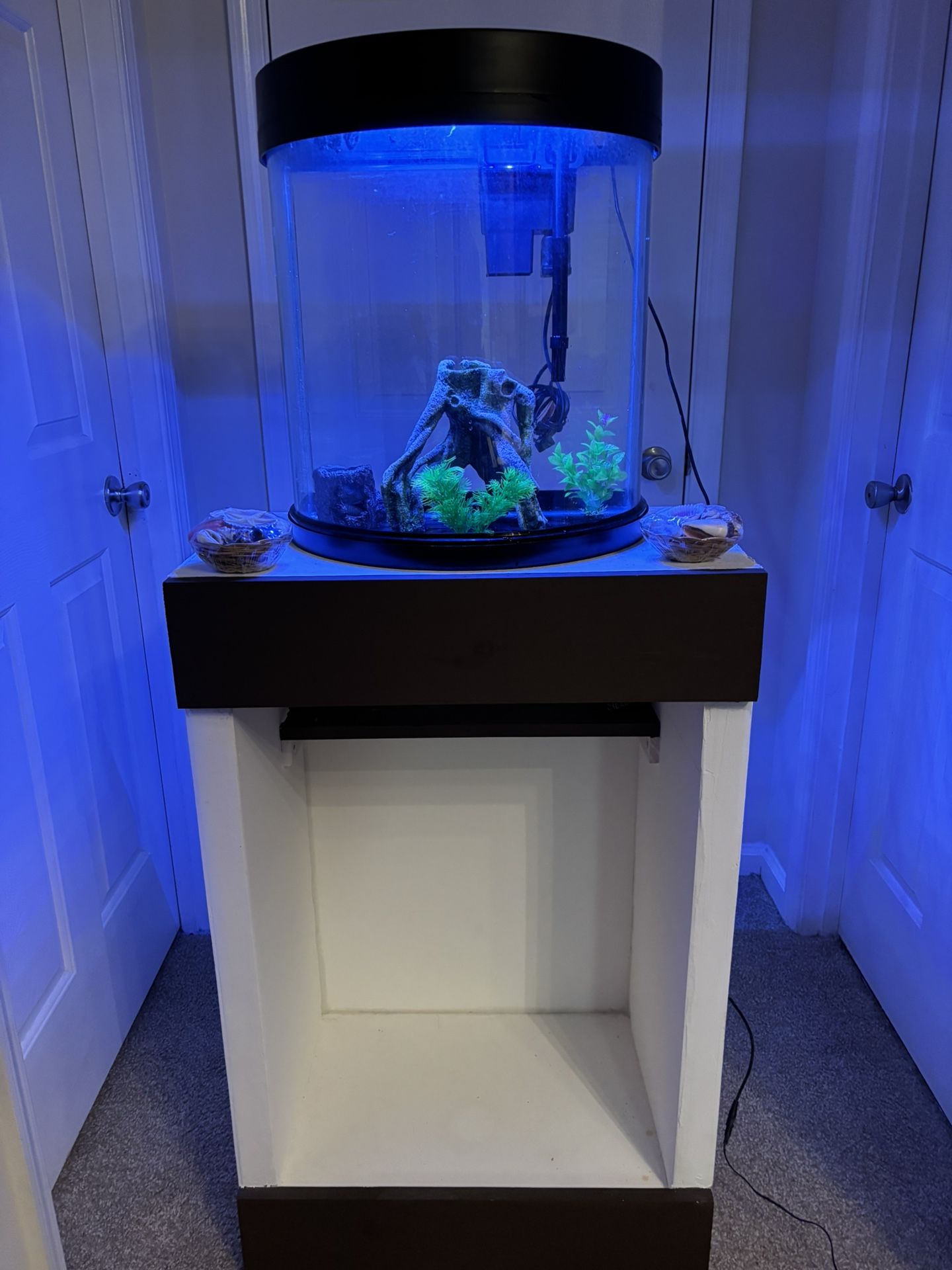 20 Gallon Fish Tank With Custom Stand And Lots Of Accessories