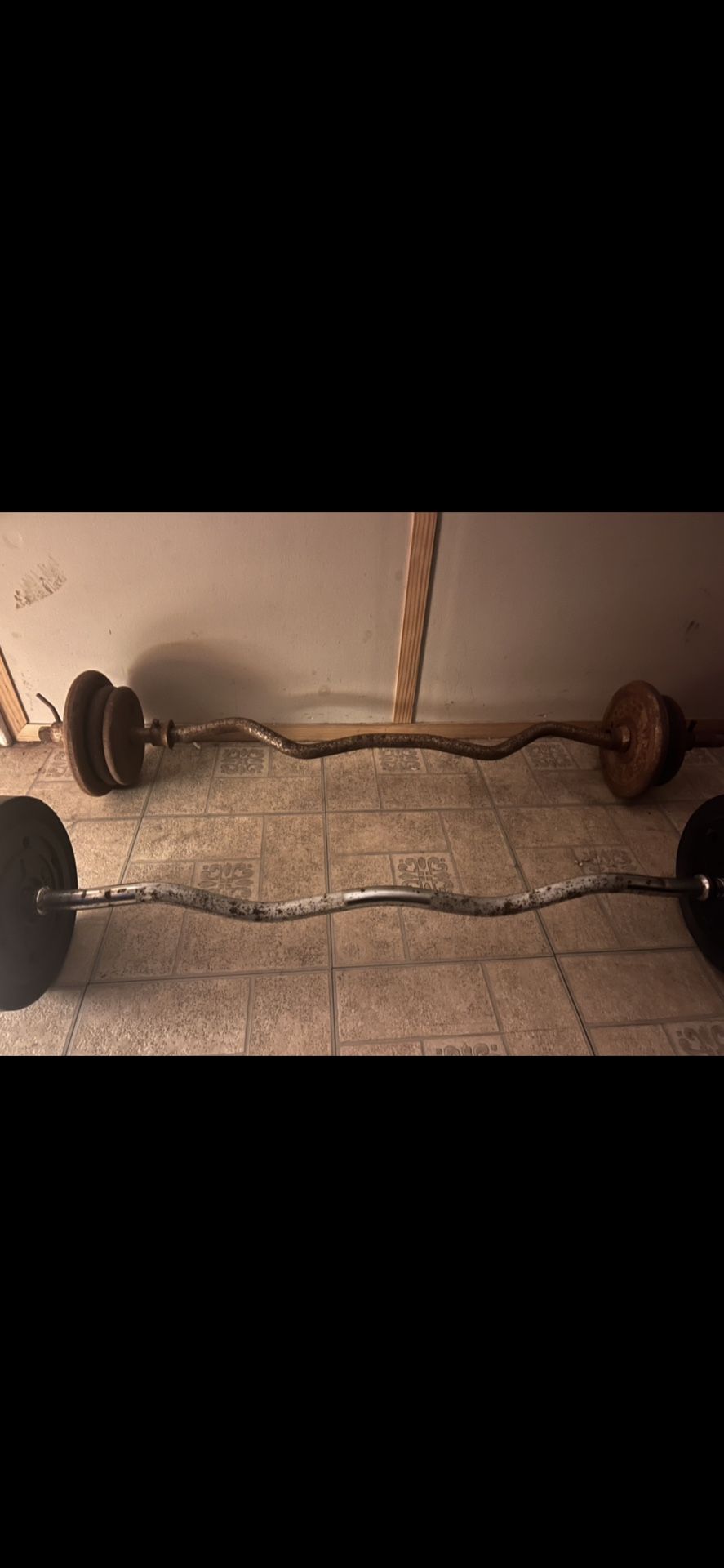 Great Condition Curl Bars And Weights