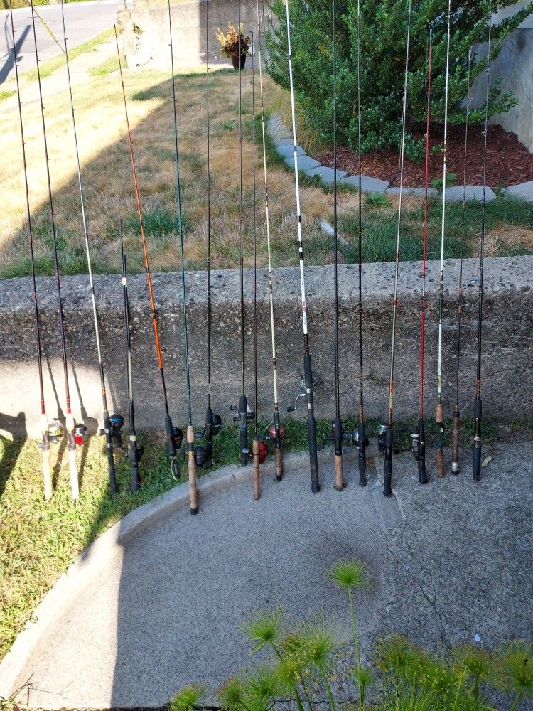 Assorted fishing polls
