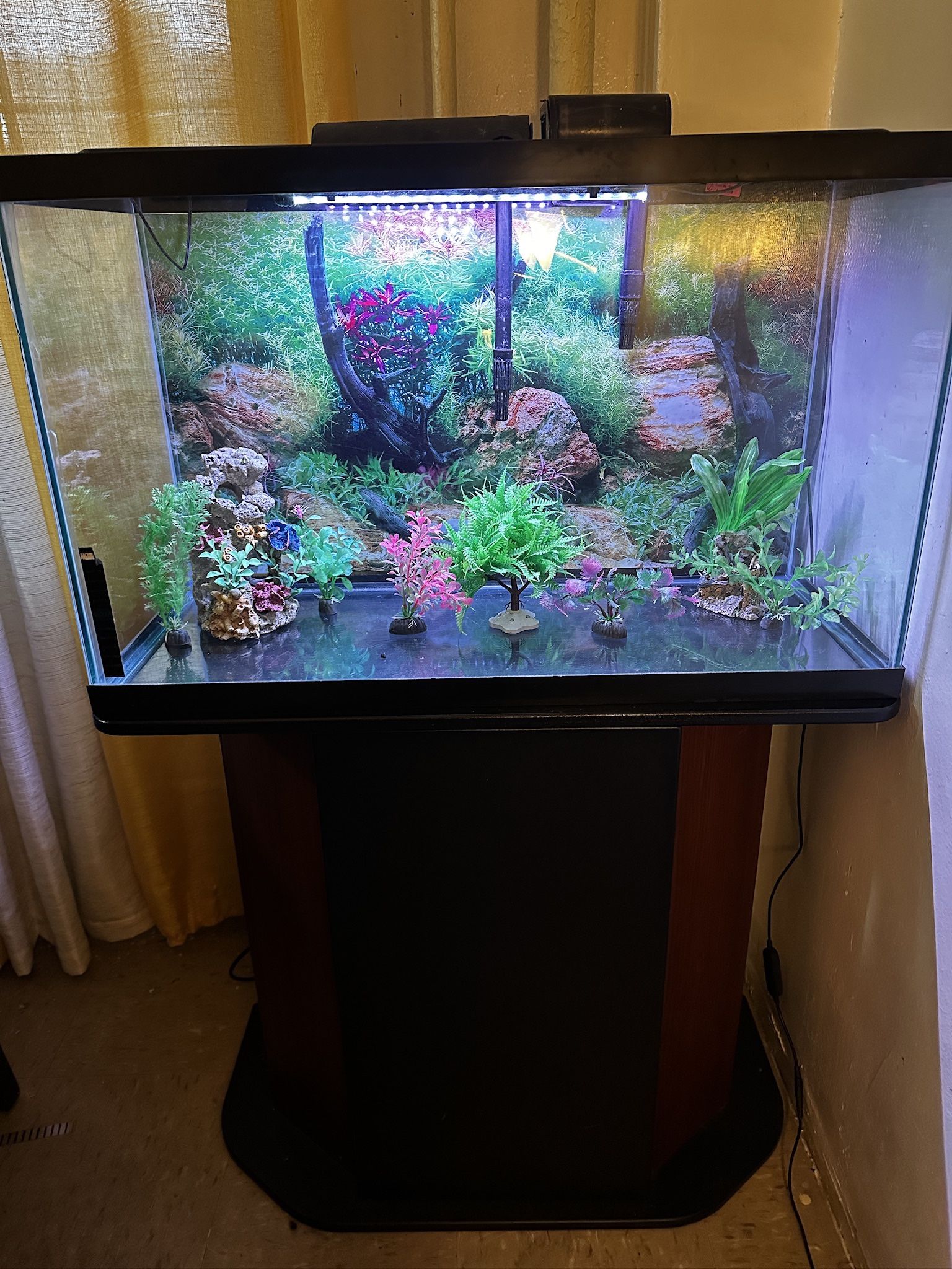 32 Gallon Fish tank With Stand
