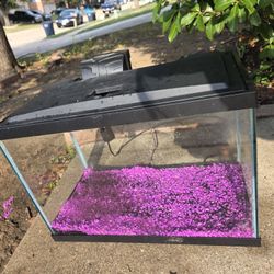 20 Gallon Fish Tank 