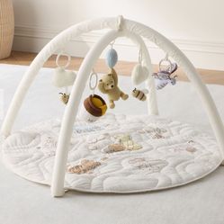 Disney's Winnie the Pooh Activity Gym