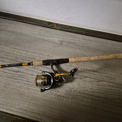 Daiwa rod and reel