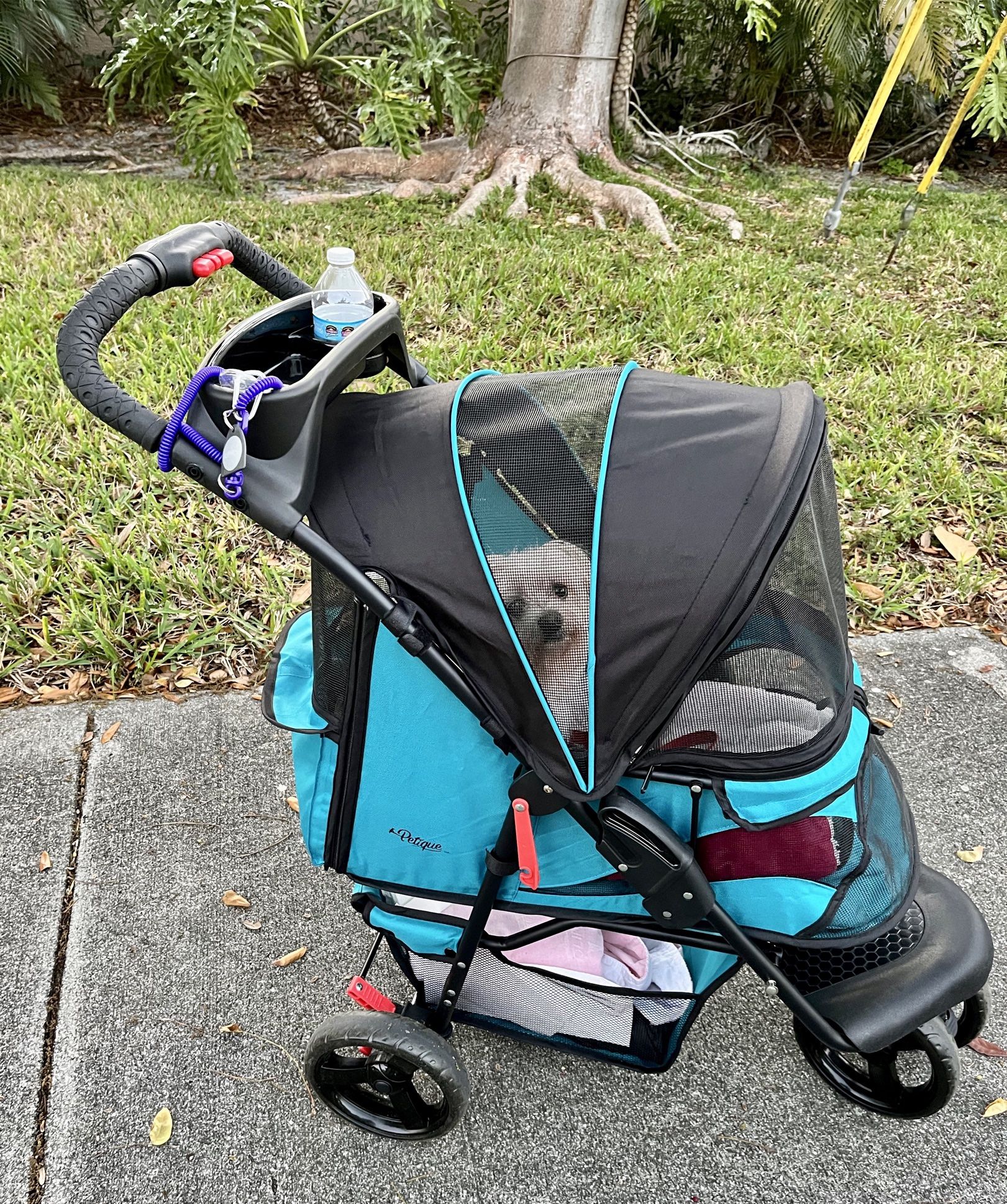 Petique Durable Sturdy Pet Turquoise Stroller - High Quality, Easy Fold, Large tires...for Small to Medium Dog, Cat, Bunny