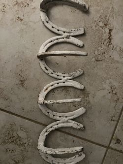 Horseshoe Coat hanger