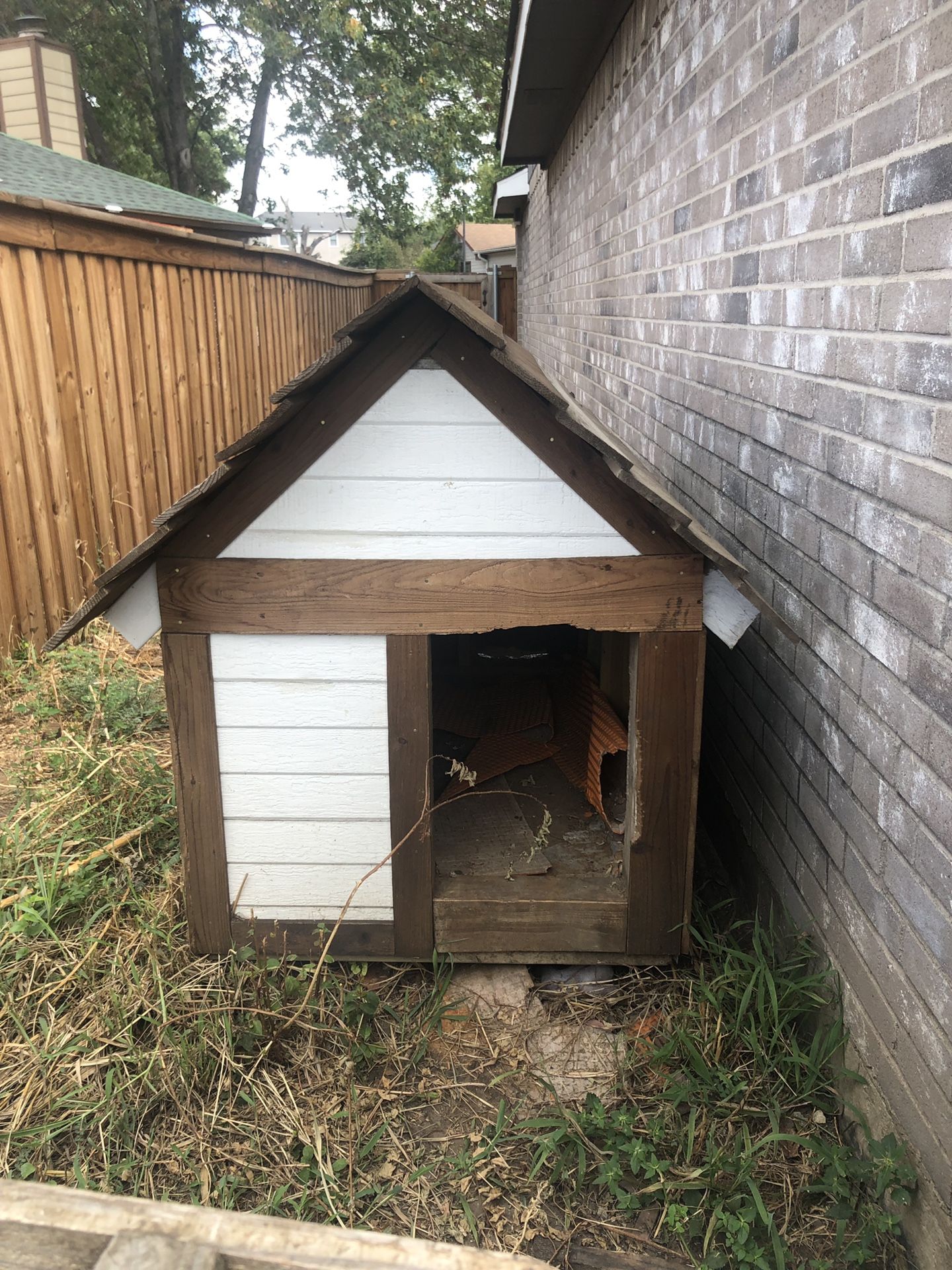 Dog House