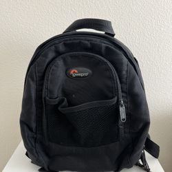 Lowepro Professional Camera Bag