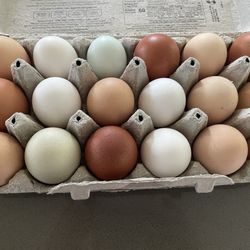Colorful Farm Fresh Eggs