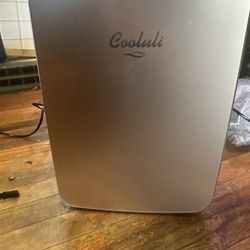 Cooluli Mini Fridge (Car and Home)