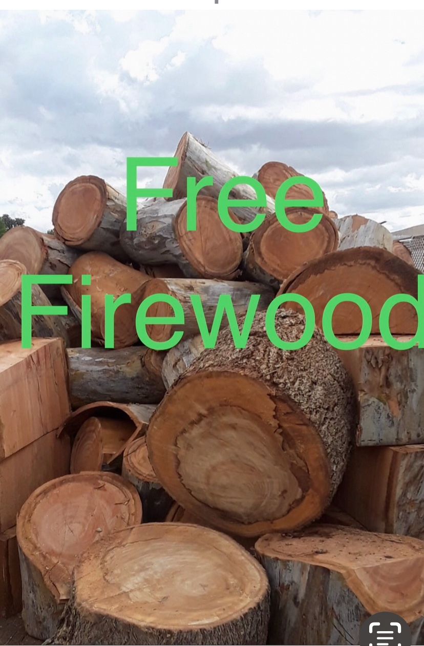 Free Firewood & Big Trees Cut & Trimm 