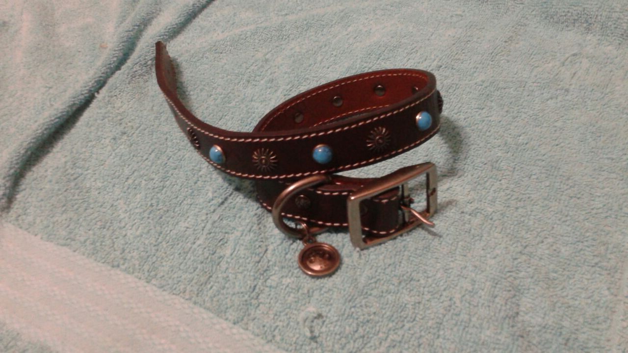 Med Dog Collar