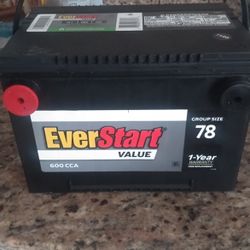 Brand New EverStart Side Mount Battery