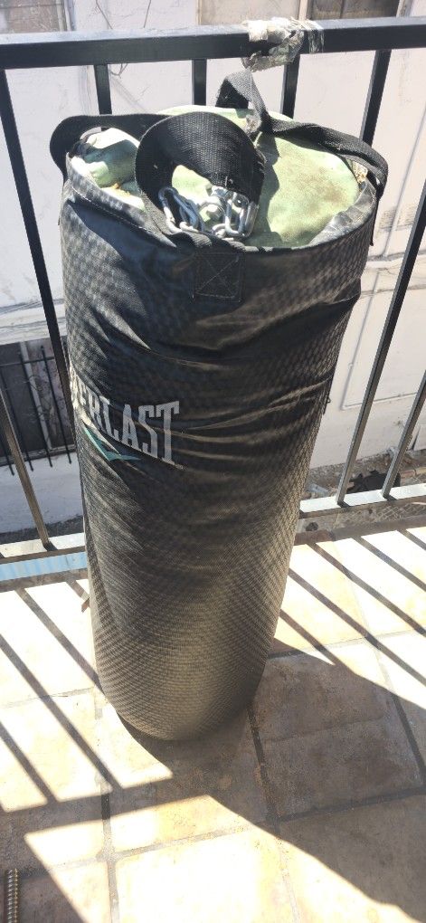 everlast punching bag 