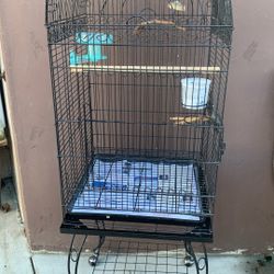 Big Birds Cage 