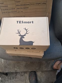 Tesmar